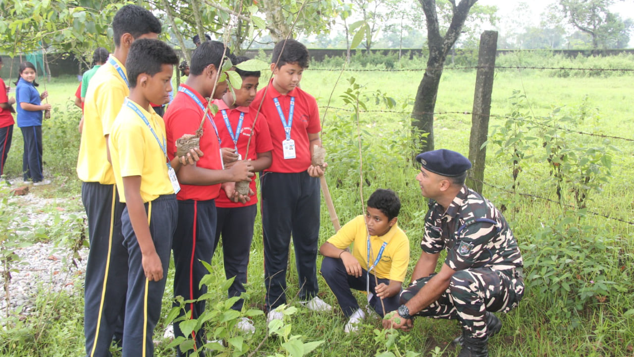Tree Plantation